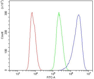 Flow cytometry testing of rat NRK cells with DR3 antibody at 1ug/million cells (blocked with goat sera); Red=cells alone, Green=isotype control, Blue= DR3 antibody.