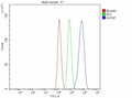 Flow Cytometry analysis of JK cells using anti-H1-7 antibody. Overlay histogram showing JK cells stained with (Blue line). To facilitate intracellular staining, cells were fixed with 4% paraformaldehyde and permeabilized with permeabilization buffer. The cells were blocked with 10% normal goat serum. And then incubated with rabbit anti-H1-7 antibody (1 ug/million cells) for 30 min at 20oC. DyLight 488 conjugated goat anti-rabbit IgG (5-10 ug/million cells) was used as secondary antibody for 30 min at 20oC.
