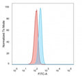 FACS staining of PFA-fixed human HeLa cells with CBF beta antibody (blue, clone PCRP-CBFB-1E6) and isotype control (red).