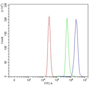 Flow cytometry testing of human U937 cells with ADAM10 antibody at 1ug/million cells (blocked with goat sera); Red=cells alone, Green=isotype control, Blue= ADAM10 antibody.