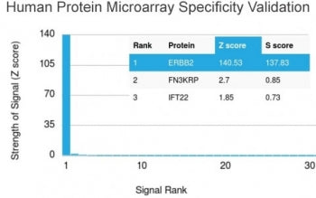 Analysis of HuProt(TM) microarray containing more than 19,000 full-length human proteins using BRCA-1 antibody (clone BRCA1/2973). These results demonstrate the foremost specificity of the BRCA1/2973 mAb. Z- and S- Score: The Z-score represents the strength of a signal that a monoclonal antibody (clone MAb) (in combination with a fluorescently-tagged anti-IgG secondary antibody) produces when binding to a particular protein on the HuProt(TM) array.