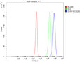 Flow Cytometry analysis of Jurkat cells using anti-SUN1 antibody. Overlay histogram showing human Jurkat cells stained with (Blue line). To facilitate intracellular staining, cells were fixed with 4% paraformaldehyde and permeabilized with permeabilization buffer. The cells were blocked with 10% normal goat serum. And then incubated with rabbit anti-SUN1 antibody (1 ug/million cells) for 30 min at 20oC.