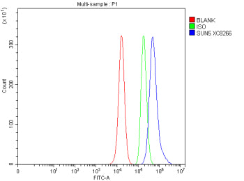 Flow Cytometry analysis of human PC-3 cells using anti-SUN5 antibody. Overlay histogram showing PC-3 cells stained with (Blue line). To facilitate intracellular staining, cells were fixed with 4% paraformaldehyde and permeabilized with permeabilization buffer. The cells were blocked with 10% normal goat serum. And then incubated with rabbit anti-SUN5 antibody (1 ug/million cells) for 30 min at 20oC.