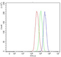 Flow cytometry testing of human HepG2 cells with Aldehyde Dehydrogenase 1A1 antibody at 1ug/million cells (blocked with goat sera); Red=cells alone, Green=isotype control, Blue= Aldehyde Dehydrogenase 1A1 antibody.