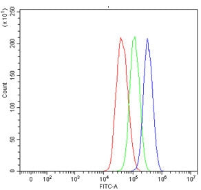 Flow cytometry testing of human HepG2 cells with Aldehyde Dehydrogenase 1A1 antibody at 1ug/million cells (blocked with goat sera); Red=cells alone, Green=isotype control, Blue= Aldehyde Dehydrogenase 1A1 antibody.