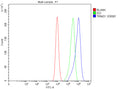 Flow Cytometry analysis of CACO-2 cells using anti-TRIM31 antibody. Overlay histogram showing CACO-2 cells stained with (Blue line). To facilitate intracellular staining, cells were fixed with 4% paraformaldehyde and permeabilized with permeabilization buffer. The cells were blocked with 10% normal goat serum. And then incubated with rabbit anti-TRIM31 antibody (1 ug/million cells) for 30 min at 20oC.