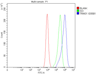 Flow Cytometry analysis of CACO-2 cells using anti-TRIM31 antibody. Overlay histogram showing CACO-2 cells stained with (Blue line). To facilitate intracellular staining, cells were fixed with 4% paraformaldehyde and permeabilized with permeabilization buffer. The cells were blocked with 10% normal goat serum. And then incubated with rabbit anti-TRIM31 antibody (1 ug/million cells) for 30 min at 20oC.
