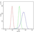 Flow cytometry testing of human HeLa cells with IGF-1 antibody at 1ug/million cells (blocked with goat sera); Red=cells alone, Green=isotype control, Blue= IGF-1 antibody.