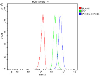 Flow Cytometry analysis of U251 cells using anti-PCGF6 antibody. Overlay histogram showing U251 cells stained with (Blue line). To facilitate intracellular staining, cells were fixed with 4% paraformaldehyde and permeabilized with permeabilization buffer. The cells were blocked with 10% normal goat serum. And then incubated with rabbit anti-PCGF6 antibody (1 ug/million cells) for 30 min at 20oC.