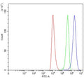 Flow cytometry testing of human HEL cells with HAVCR2 antibody at 1ug/million cells (blocked with goat sera); Red=cells alone, Green=isotype control, Blue= HAVCR2 antibody.