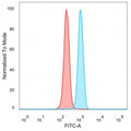 Flow cytometry testing of PFA-fixed human HeLa cells with ZNF239 antibody (clone PCRP-ZNF239-2A10) followed by goat anti-mouse IgG-CF488 (blue), Red = unstained cells.