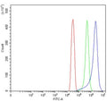 Flow cytometry testing of human SiHa cells with TMEM129 antibody at 1ug/million cells (blocked with goat sera); Red=cells alone, Green=isotype control, Blue= TMEM129 antibody.