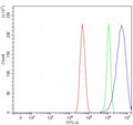 Flow cytometry testing of fixed and permeabilized human U-251 cells with NSUN3 antibody at 1ug/million cells (blocked with goat sera); Red=cells alone, Green=isotype control, Blue= NSUN3 antibody.