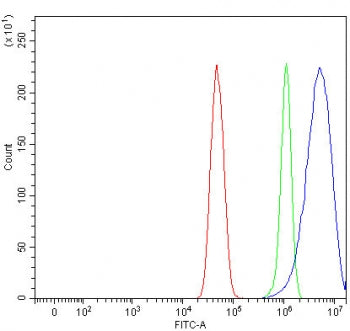 Flow cytometry testing of fixed and permeabilized human U-251 cells with NSUN3 antibody at 1ug/million cells (blocked with goat sera); Red=cells alone, Green=isotype control, Blue= NSUN3 antibody.