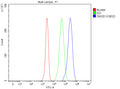Flow Cytometry analysis of Jurkat cells using anti-SNX20 antibody. Overlay histogram showing Jurkat cells stained with (Blue line). The cells were fixed with 4% paraformaldehyde and blocked with 10% normal goat serum. And then incubated with rabbit anti-SNX20 antibody (1 ug/million cells) for 30 min at 20oC. DyLight 488 conjugated goat anti-rabbit IgG (5-10 ug/million cells) was used as secondary antibody for 30 minutes at 20oC. Isotype control antibody (Green line) was rabbit IgG (1 ug/million cells) used