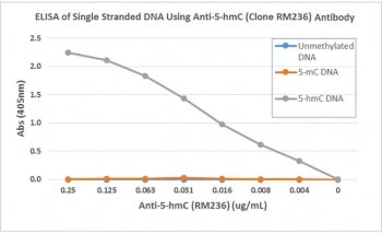ELISA of single stranded DNA using recombinant 5hmC antibody. The plate was coated with streptavidin and then biotinylated single stranded unmethylated DNA, 5-Methylcytosine (5mC) DNA, and 5-Hydroxymethylcytosine (5hmC) DNA. A serial dilution of RM236 mAb was used as the primary, and an anti-rabbit IgG AKP secondary.