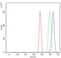 Flow cytometry testing of human U-87 MG cells with FRP-1 antibody at 1ug/million cells (blocked with goat sera); Red=cells alone, Green=isotype control, Blue= FRP-1 antibody.
