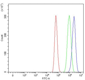 Flow cytometry testing of human U-87 MG cells with FRP-1 antibody at 1ug/million cells (blocked with goat sera); Red=cells alone, Green=isotype control, Blue= FRP-1 antibody.