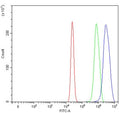 Flow cytometry testing of human U-2 OS cells with Serpin B13 antibody at 1ug/million cells (blocked with goat sera); Red=cells alone, Green=isotype control, Blue= Serpin B13 antibody.