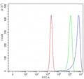 Flow cytometry testing of human RT4 cells with ATG12 antibody at 1ug/million cells (blocked with goat sera); Red=cells alone, Green=isotype control, Blue= ATG12 antibody.