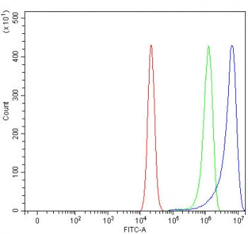 Flow cytometry testing of human RT4 cells with ATG12 antibody at 1ug/million cells (blocked with goat sera); Red=cells alone, Green=isotype control, Blue= ATG12 antibody.