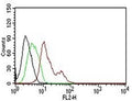 FACS testing of human MCF-7: Black=cells alone; Green=isotype control; Red= PE conjugated Estrogen Receptor antibody