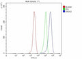 Flow Cytometry analysis of Hela cells using anti-ANXA2 antibody. Overlay histogram showing Hela cells stained with (Blue line). The cells were fixed with 4% paraformaldehyde and blocked with 10% normal goat serum. And then incubated with rabbit anti-ANXA2 antibody (1 ug/million cells) for 30 min at 20oC. DyLight 488 conjugated goat anti-rabbit IgG (5-10 ug/million cells) was used as secondary antibody for 30 min at 20oC.