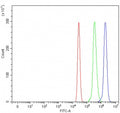 Flow cytometry testing of human U937 cells with Optic atrophy 3 antibody at 1ug/million cells (blocked with goat sera); Red=cells alone, Green=isotype control, Blue= Optic atrophy 3 antibody.