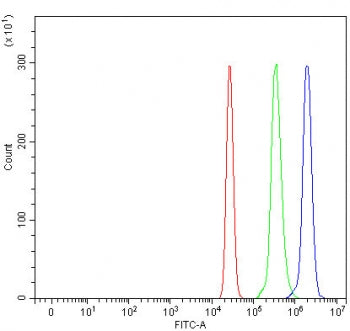 Flow cytometry testing of human U937 cells with Optic atrophy 3 antibody at 1ug/million cells (blocked with goat sera); Red=cells alone, Green=isotype control, Blue= Optic atrophy 3 antibody.