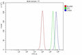 Flow Cytometry analysis of MCF-7 cells using anti-CHD4 antibody. Overlay histogram showing MCF-7 cells stained with (Blue line). To facilitate intracellular staining, cells were fixed with 4% paraformaldehyde and permeabilized with permeabilization buffer. The cells were blocked with 10% normal goat serum. And then incubated with rabbit anti-CHD4 antibody (1 ug/million cells) for 30 min at 20oC.