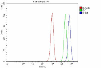 Flow Cytometry analysis of MCF-7 cells using anti-CHD4 antibody. Overlay histogram showing MCF-7 cells stained with (Blue line). To facilitate intracellular staining, cells were fixed with 4% paraformaldehyde and permeabilized with permeabilization buffer. The cells were blocked with 10% normal goat serum. And then incubated with rabbit anti-CHD4 antibody (1 ug/million cells) for 30 min at 20oC.