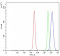Flow cytometry testing of human Daudi cells with OGDH antibody at 1ug/million cells (blocked with goat sera); Red=cells alone, Green=isotype control, Blue= OGDH antibody.