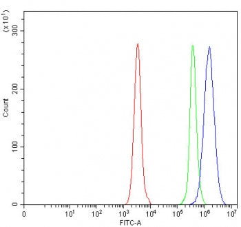 Flow cytometry testing of human Daudi cells with OGDH antibody at 1ug/million cells (blocked with goat sera); Red=cells alone, Green=isotype control, Blue= OGDH antibody.