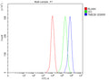 Flow Cytometry analysis of THP-1 cells using anti-TMED8 antibody. Overlay histogram showing THP-1 cells stained with (Blue line). The cells were fixed with 4% paraformaldehyde and blocked with 10% normal goat serum. And then incubated with rabbit anti-TMED8 antibody (1 ug/million cells) for 30 min at 20oC. DyLight 488 conjugated goat anti-rabbit IgG (5-10 ug/million cells) was used as secondary antibody for 30 min at 20oC.