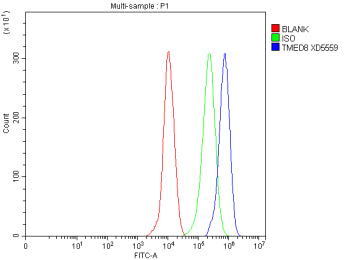 Flow Cytometry analysis of THP-1 cells using anti-TMED8 antibody. Overlay histogram showing THP-1 cells stained with (Blue line). The cells were fixed with 4% paraformaldehyde and blocked with 10% normal goat serum. And then incubated with rabbit anti-TMED8 antibody (1 ug/million cells) for 30 min at 20oC. DyLight 488 conjugated goat anti-rabbit IgG (5-10 ug/million cells) was used as secondary antibody for 30 min at 20oC.