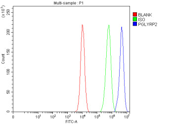 Flow Cytometry analysis of K562 cells using anti-PGLYRP2 antibody. Overlay histogram showing K562 cells stained with (Blue line). The cells were fixed with 4% paraformaldehyde and blocked with 10% normal goat serum. And then incubated with rabbit anti-PGLYRP2 antibody (1 ug/million cells) for 30 min at 20oC. DyLight 488 conjugated goat anti-rabbit IgG (5-10 ug/million cells) was used as secondary antibody for 30 min at 20oC.