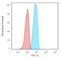 Flow cytometry testing of human Raji cells with CD74 antibody (clone CDLA74-1); Red=isotype control, Blue= CD74 antibody.
