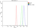 Flow cytometry analysis of fixed and permeabilized human 293T cells with SRA1 antibody at 1ug/million cells (blocked with goat sera); Red=cells alone, Green=isotype control, Blue= SRA1 antibody.