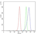 Flow cytometry testing of mouse ANA-1 cells with C5B antibody at 1ug/million cells (blocked with goat sera); Red=cells alone, Green=isotype control, Blue= C5B antibody.