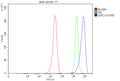 Flow Cytometry analysis of MCF-7 cells using anti-ODF2 antibody. Overlay histogram showing MCF-7 cells stained with (Blue line). To facilitate intracellular staining, cells were fixed with 4% paraformaldehyde and permeabilized with permeabilization buffer. The cells were blocked with 10% normal goat serum. And then incubated with rabbit anti-ODF2 antibody (1 ug/million cells) for 30 min at 20oC.