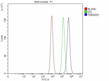 Flow Cytometry analysis of Caco-2 cells using anti-TMEM201 antibody. Overlay histogram showing Caco-2 cells stained with (Blue line). To facilitate intracellular staining, cells were fixed with 4% paraformaldehyde and permeabilized with permeabilization buffer. The cells were blocked with 10% normal goat serum. And then incubated with rabbit anti-TMEM201 antibody (1 ug/million cells) for 30 min at 20oC.