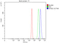 Flow Cytometry analysis of Neuro-2a cells using anti-NTSR2 antibody. Overlay histogram showing Neuro-2a cells stained with (Blue line). To facilitate intracellular staining, cells were fixed with 4% paraformaldehyde and permeabilized with permeabilization buffer. The cells were blocked with 10% normal goat serum. And then incubated with rabbit anti-NTSR2 antibody (1 ug/million cells) for 30 min at 20oC.
