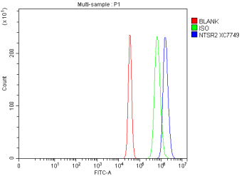 Flow Cytometry analysis of Neuro-2a cells using anti-NTSR2 antibody. Overlay histogram showing Neuro-2a cells stained with (Blue line). To facilitate intracellular staining, cells were fixed with 4% paraformaldehyde and permeabilized with permeabilization buffer. The cells were blocked with 10% normal goat serum. And then incubated with rabbit anti-NTSR2 antibody (1 ug/million cells) for 30 min at 20oC.