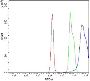 Flow cytometry testing of human JK-1 cells with CXCR4 antibody at 1ug/million cells (blocked with goat sera); Red=cells alone, Green=isotype control, Blue= CXCR4 antibody.