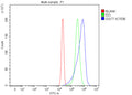 Flow Cytometry analysis of RT4 cells using anti-GGCT antibody. Overlay histogram showing RT4 cells stained with (Blue line). To facilitate intracellular staining, cells were fixed with 4% paraformaldehyde and permeabilized with permeabilization buffer. The cells were blocked with 10% normal goat serum. And then incubated with rabbit anti-GGCT antibody (1 ug/million cells) for 30 min at 20oC.