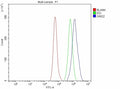 Flow Cytometry analysis of cells using anti-GINS2 antibody. Overlay histogram showing cells stained with (Blue line). To facilitate intracellular staining, cells were fixed with 4% paraformaldehyde and permeabilized with permeabilization buffer. The cells were blocked with 10% normal goat serum. And then incubated with rabbit anti-GINS2 antibody (1 ug/million cells) for 30 min at 20oC. DyLight 488 conjugated goat anti-rabbit IgG (5-10 ug/million cells) was used as secondary antibody for 30 min at 20oC.
