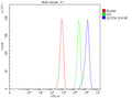 Flow Cytometry analysis of HepG2 cells using anti-GLOD4 antibody. Overlay histogram showing HepG2 cells stained with (Blue line). To facilitate intracellular staining, cells were fixed with 4% paraformaldehyde and permeabilized with permeabilization buffer. The cells were blocked with 10% normal goat serum. And then incubated with rabbit anti-GLOD4 antibody (1 ug/million cells) for 30 min at 20oC.