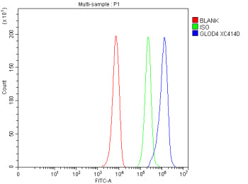 Flow Cytometry analysis of HepG2 cells using anti-GLOD4 antibody. Overlay histogram showing HepG2 cells stained with (Blue line). To facilitate intracellular staining, cells were fixed with 4% paraformaldehyde and permeabilized with permeabilization buffer. The cells were blocked with 10% normal goat serum. And then incubated with rabbit anti-GLOD4 antibody (1 ug/million cells) for 30 min at 20oC.