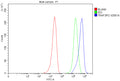 Flow Cytometry analysis of MCF-7 cells using anti-TRAF3IP2 antibody. Overlay histogram showing MCF-7 cells stained with (Blue line). To facilitate intracellular staining, cells were fixed with 4% paraformaldehyde and permeabilized with permeabilization buffer. The cells were blocked with 10% normal goat serum. And then incubated with rabbit anti-TRAF3IP2 antibody (1 ug/million cells) for 30 min at 20oC.