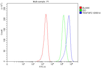 Flow Cytometry analysis of MCF-7 cells using anti-TRAF3IP2 antibody. Overlay histogram showing MCF-7 cells stained with (Blue line). To facilitate intracellular staining, cells were fixed with 4% paraformaldehyde and permeabilized with permeabilization buffer. The cells were blocked with 10% normal goat serum. And then incubated with rabbit anti-TRAF3IP2 antibody (1 ug/million cells) for 30 min at 20oC.